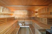 Die Bio-Sauna