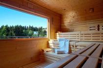 Blick in die Außen-Sauna